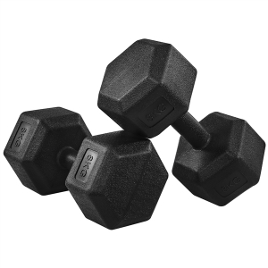 Set of 2 x 8kg Dumbbells Sporting Hand Weights