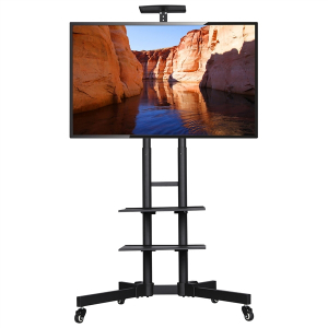 Mobile TV Stand