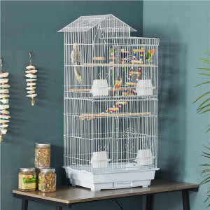 Parrot Cage